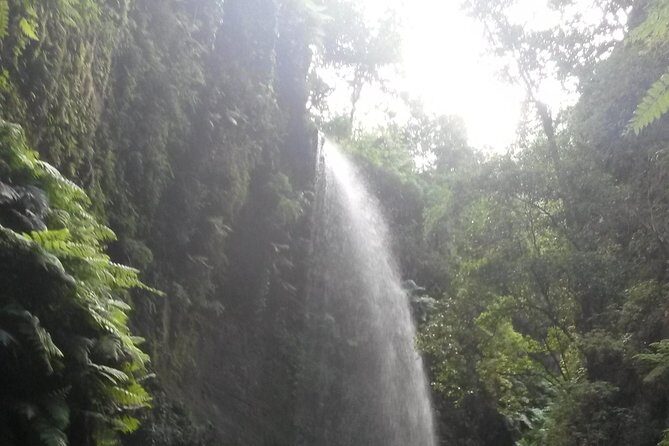 North Route (Price per vehicle, not per person) - Who Is This Tour Best Suited For?