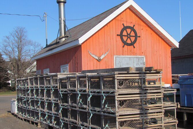 North Shore And More Private Tour - An Honest Look at the Potential Drawbacks