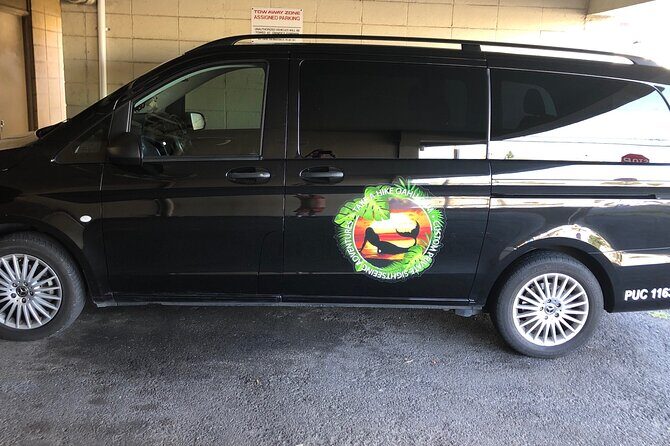 North Shore day,Waterfalls and Turtles Tour - The Sum Up