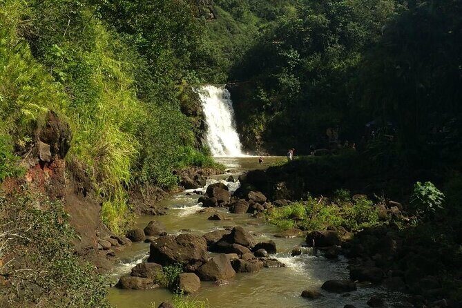 North Shore day,Waterfalls and Turtles Tour - FAQ