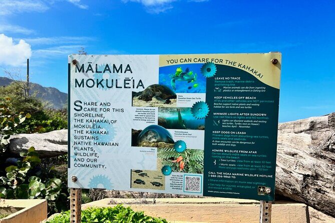 North Shore Dole Pineapple Farm Tour - What You Can Expect in Terms of Value