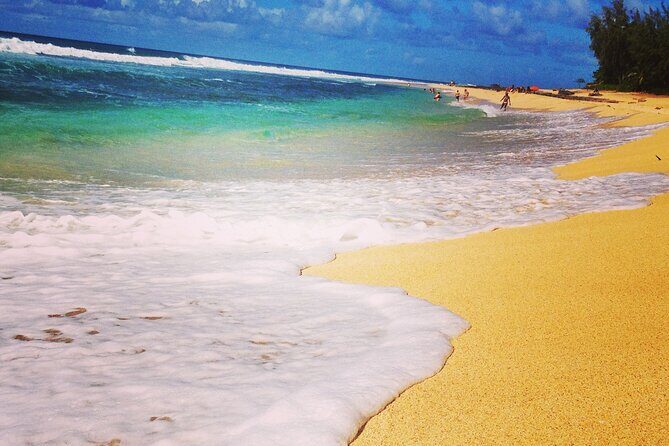 North Shore Excursion Private 7 Hour Tour of Oahu Countryside - Introducing the North Shore Excursion Private 7-Hour Tour of Oahu Countryside