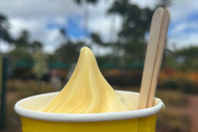 North Shore Highlight Tour - The Sum Up: Is It Worth It?