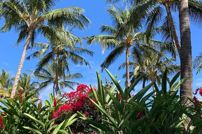 North Shore Highlight Tour - FAQ