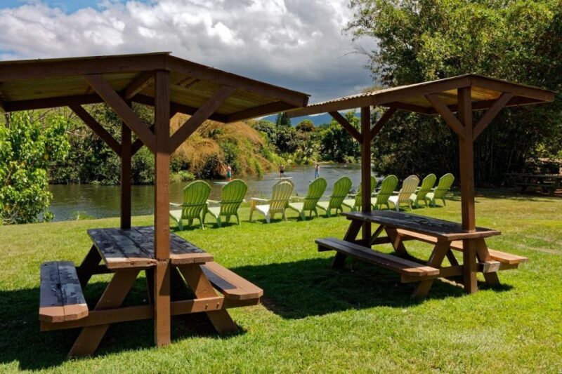 North Shore's best day! River, Turtles, Farm with Lunch - Key Points