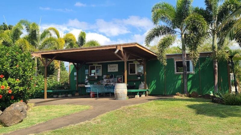 North Shore's best day! River, Turtles, Farm with Lunch - An Overview of the Experience