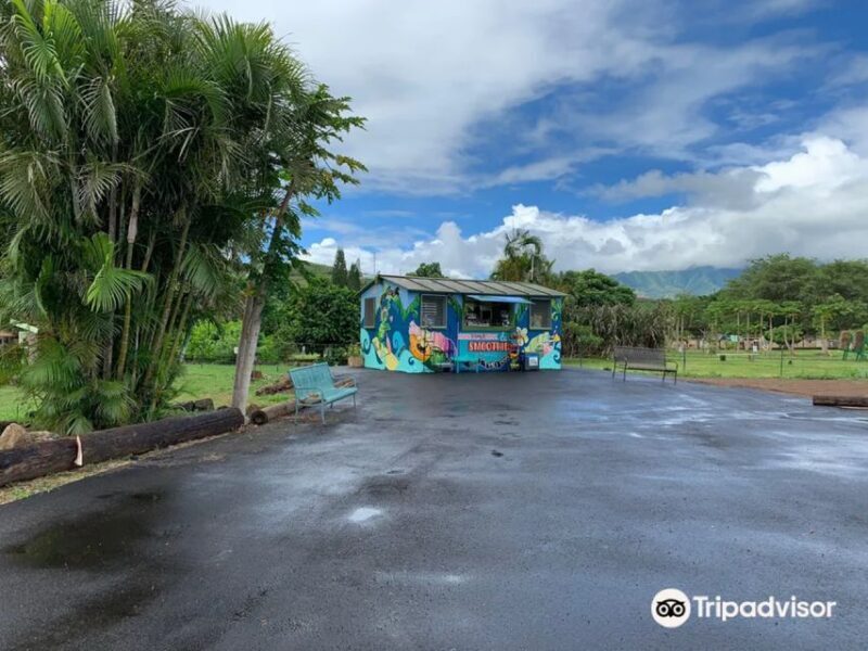 North Shore's best day! River, Turtles, Farm with Lunch - Cool Down with Smoothies & Shaved Ice