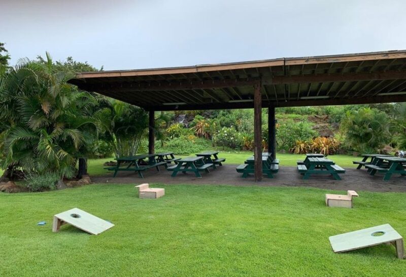 North Shore's best day! River, Turtles, Farm with Lunch - What to Bring & Considerations