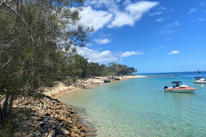 North Stradbroke Island WILDLIFE Adventure Tour from Brisbane - Key Points