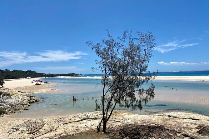 North Stradbroke Island WILDLIFE Adventure Tour from Brisbane - An Honest Look at What the Tour Offers
