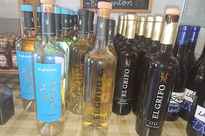 North Tour, Viewpoint, Brunch, White beach & lava pools - An In-Depth Look at the Tour Itinerary