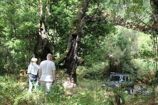 North Tour & Wine Tasting - 4x4 (Small Groups) - Final Thoughts