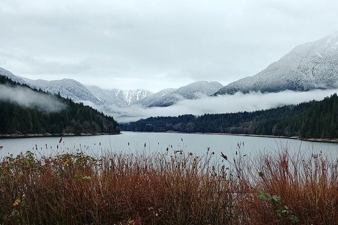 North Vancouver Discovery Private Tour - Cost and Value Considerations