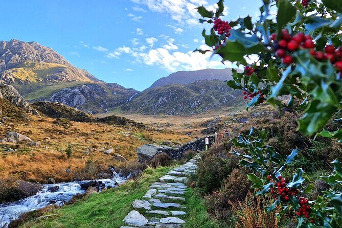 North Wales & Caernarfon Castle Full-Day Tour from Manchester - Caernarfon Castle: Stepping Back in Time