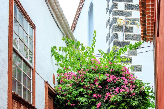 North West Tenerife Secrets - Exploring the Itinerary: What to Expect