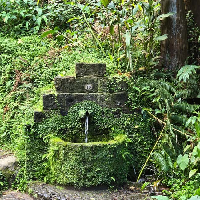 Northeast: Tour of Unspoiled Nature and Ribeira dos Caldeirões - Who Should Consider This Tour?