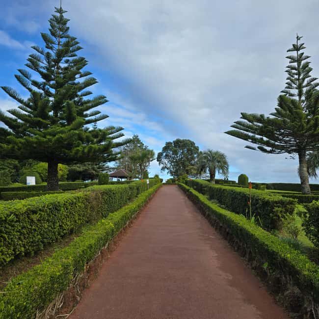 Northeast: Tour of Unspoiled Nature and Ribeira dos Caldeirões - Final Thoughts