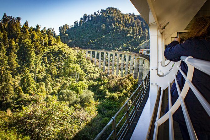 Northern Explorer Train Journey from Auckland to Wellington - The Experience in Practice