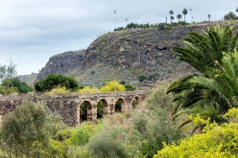 Northern Gran Canaria tour with botanical garden visit - Final Thoughts