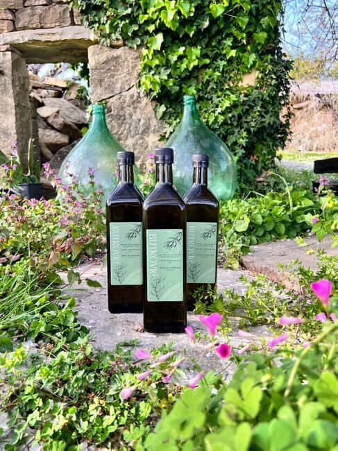 Northern Istria: Olive Oil Tasting with scenic landscape - The Experience Details