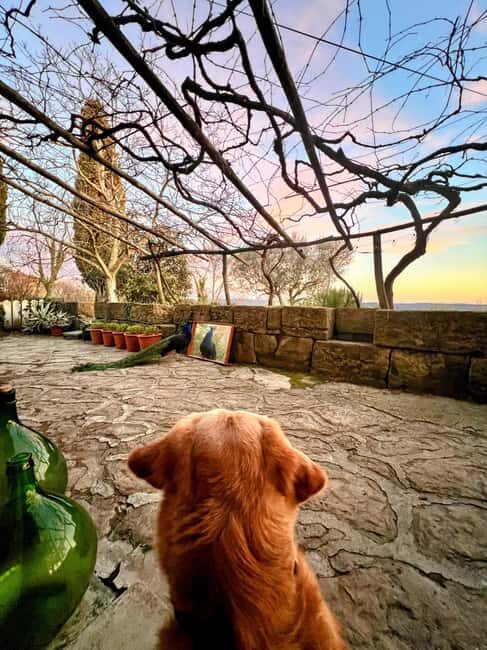 Northern Istria: Olive Oil Tasting with scenic landscape - FAQ