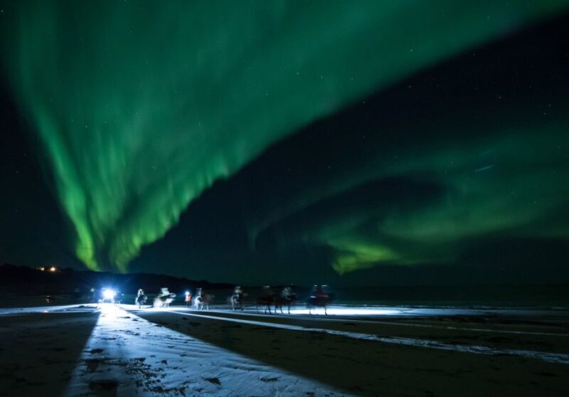 Northern light on horseback - A Closer Look at the Northern Lights on Horseback Tour