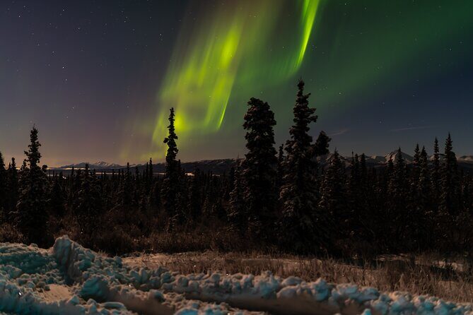 Northern Lights Adventure of a Liftetime from Anchorage - The Real-Life Experiences and Reviews