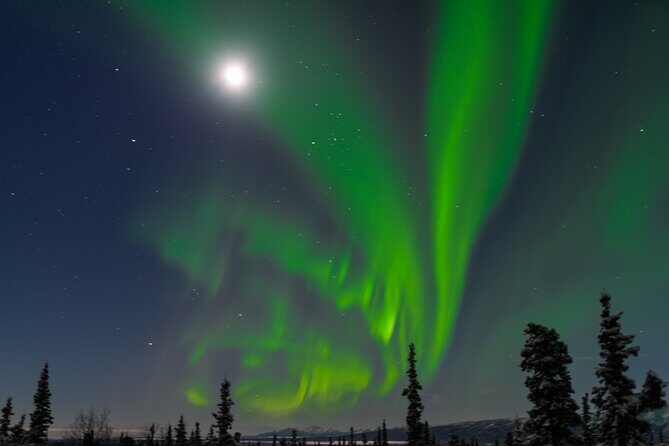 Northern Lights Adventure of a Liftetime from Anchorage - Who Should Consider This Tour?