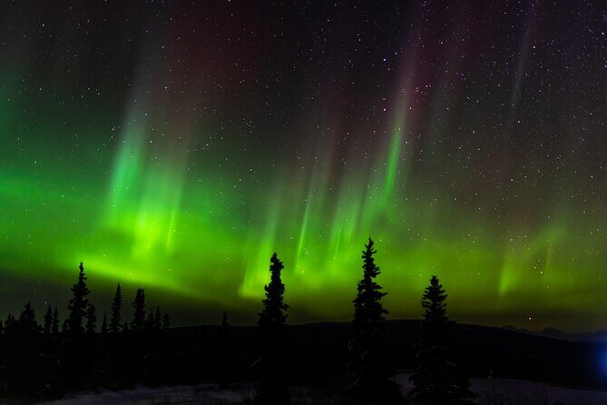 Northern Lights Adventure of a Liftetime from Anchorage - FAQ