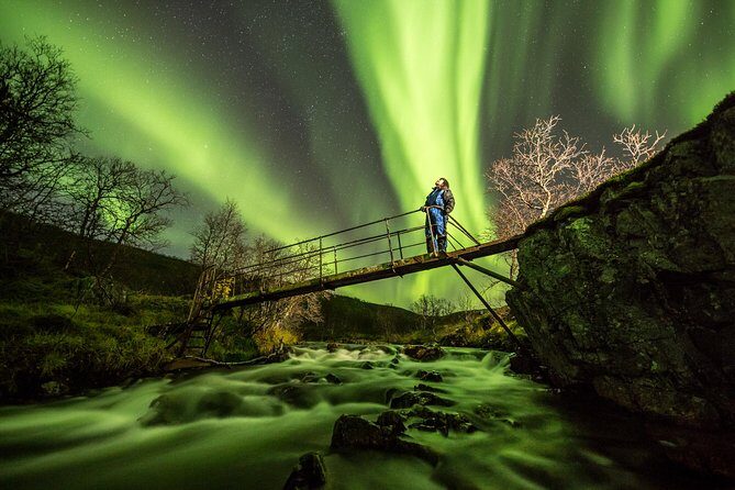 Northern Lights Adventure with Greenlander, 8 people max - Who Should Consider This Tour?