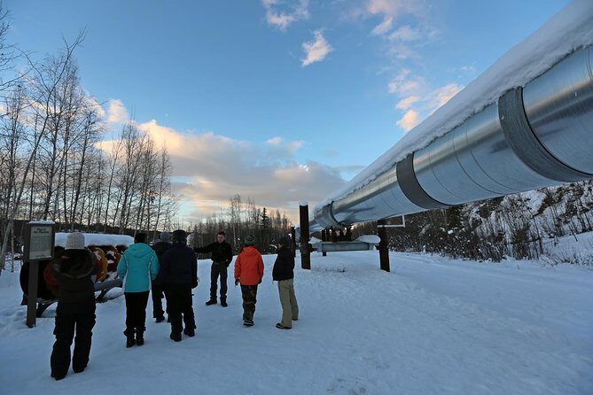 Northern Lights and Arctic Circle Trip from Fairbanks - What to Expect from the Tour