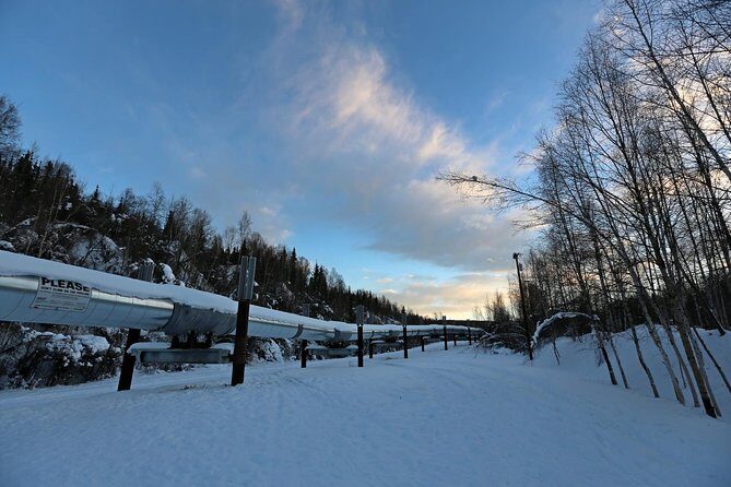 Northern Lights and Arctic Circle Trip from Fairbanks - Practical Details & Tips