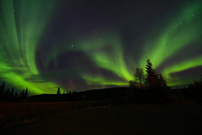 Northern Lights and Chena Hot Springs Night Tour from Fairbanks - Who Should Consider This Tour?