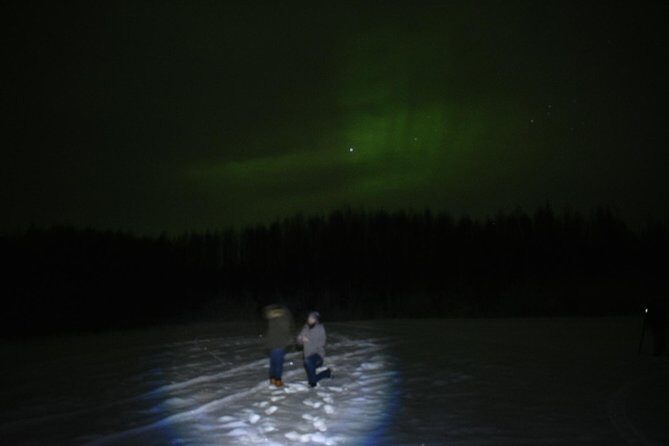 Northern Lights and Chena Hot Springs Tour from Fairbanks - Key Points