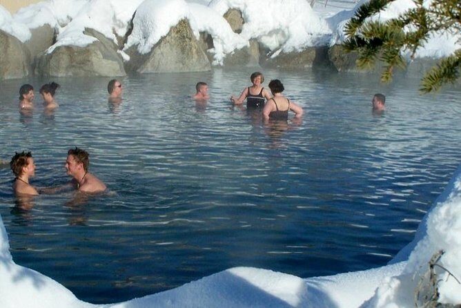 Northern Lights and Chena Hot Springs Tour from Fairbanks - What to Expect from the Tour