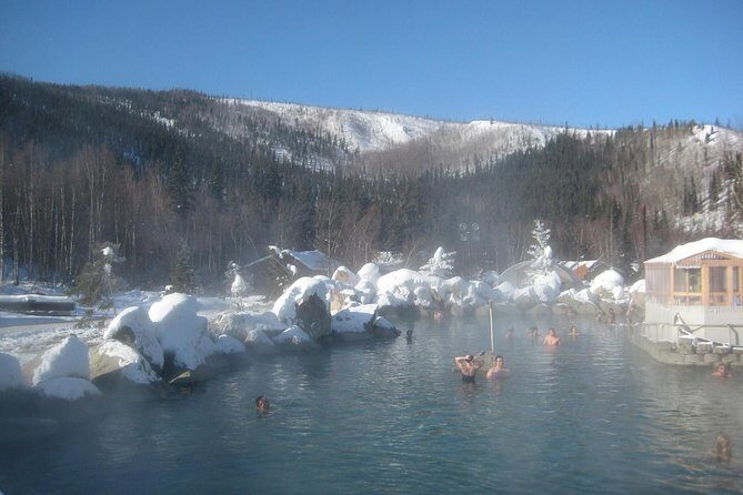 Northern Lights and Chena Hot Springs Tour from Fairbanks - Who Will Love This Tour?