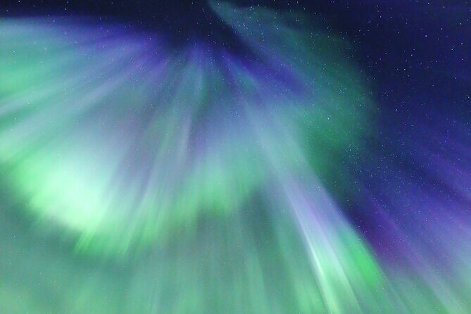 Northern Lights Big Bus Chase with Free Photos - Price and Value Analysis