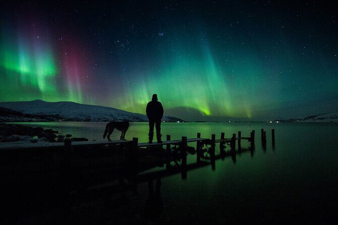 Northern Lights Big Bus Chase with Free Photos - Who Is This Tour Best Suited For?