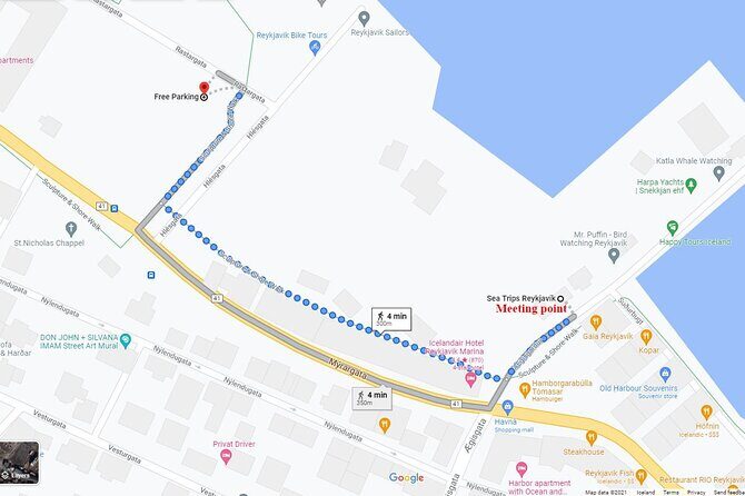 Northern Lights Boat Cruise from Reykjavik - Who Is This Tour Best For?