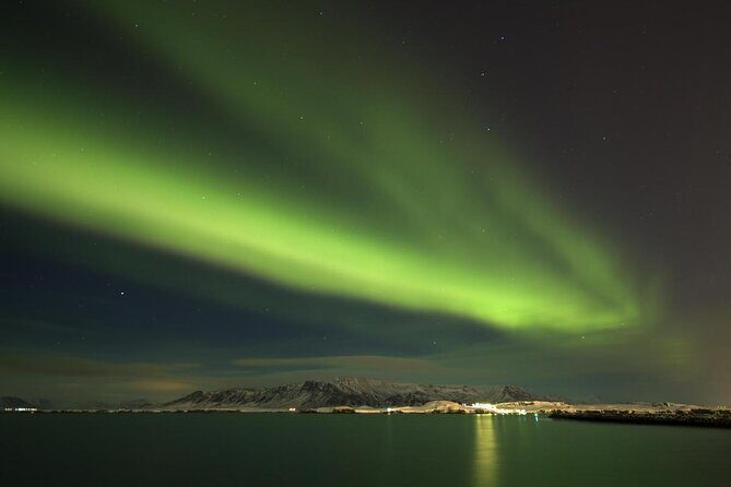 Northern Lights Bus Tour from Reykjavik - Key Points