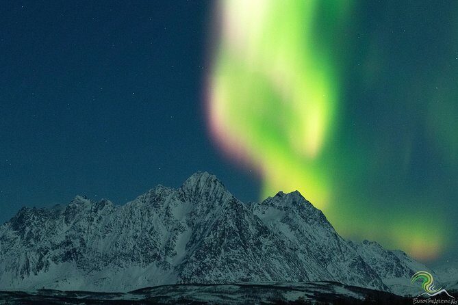 Northern Lights by Minibus. Photos Under the Lights included. Tromso - Why Choose the Northern Lights Minibus Tour?