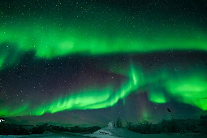 Northern Lights Chase minibus, portraits, toilet, meal, guarantee - FAQ