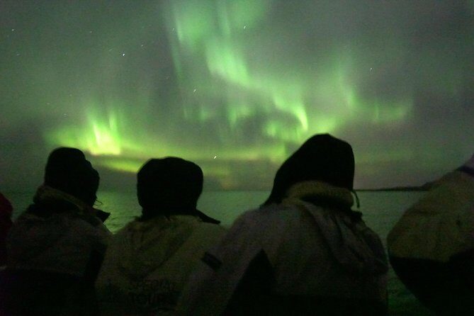 Northern Lights Cruise from Reykjavik Including Photos - The Good and the Not-So-Good