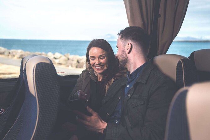 Northern Lights Guided Bus Tour from Reykjavik - What to Expect from the Northern Lights Bus Tour