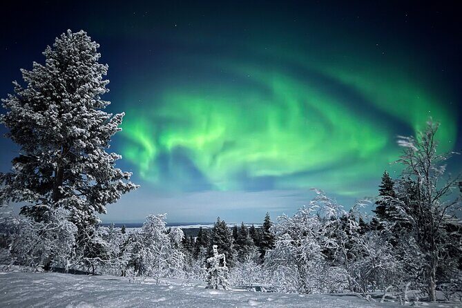Northern Lights Holiday in Finland - A Detailed Look at the Tour Experience
