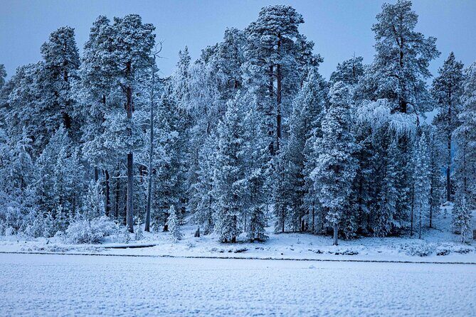 Northern Lights Holiday in Finland - Final Thoughts