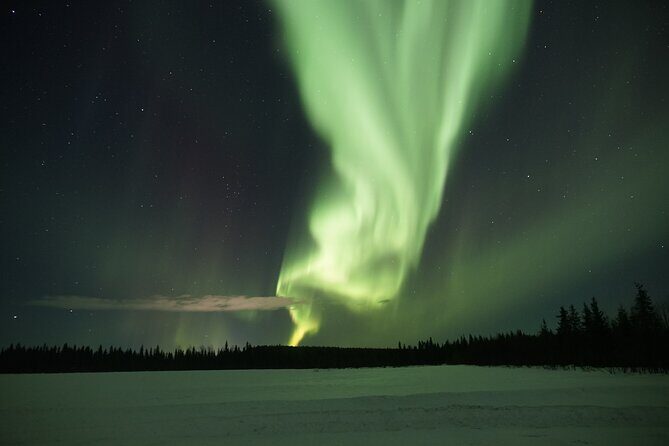 Northern Lights Hunting Photo Tour in Levi - Reviews in a Nutshell