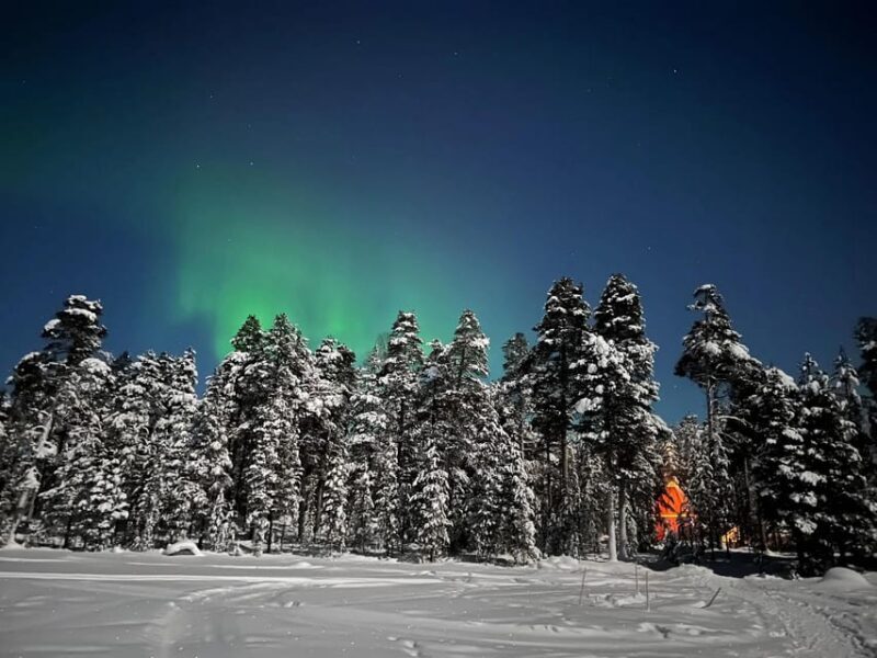 Northern Lights Hunting with Aurora Workshop - How Does the Cost Stack Up?