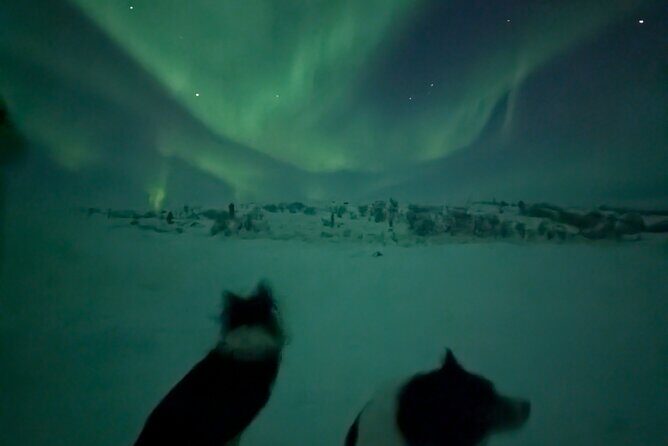 Northern Lights Minibus Chase Max 16 Person In Group - An In-Depth Look at the Tour Experience