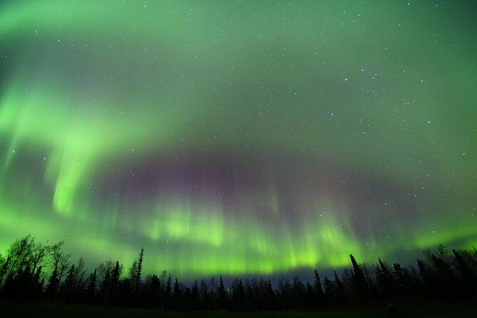 Northern Lights Murphy Dome Viewing in Fairbanks - Real Traveler Insights